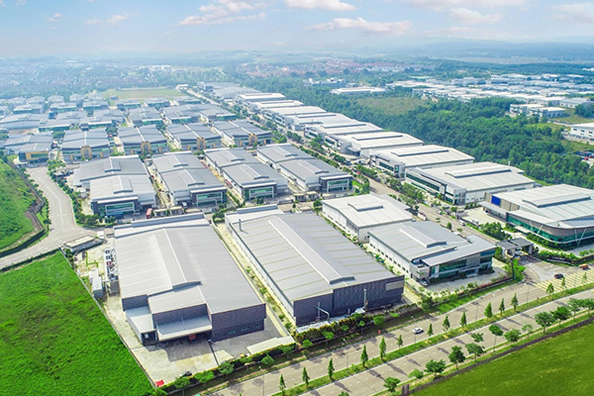 Shijiazhuang Schleifpapiergruppe